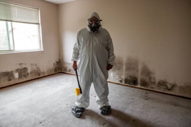 Trusted Roswell, NM Mold Remediation Experts